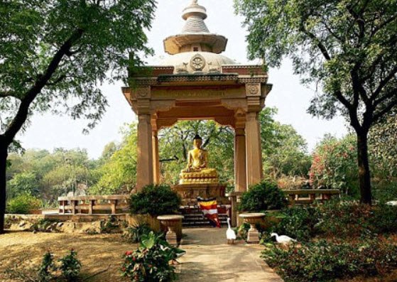 Buddha Garden, Central Delhi, Delhi - Vushii.com Buddha Garden, Central Delhi, Delhi - Vushii.com